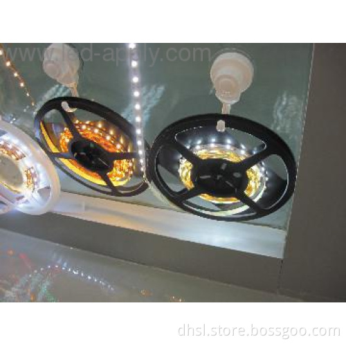 smd5050 led strip light 30pcs led per meter Ip68(1)